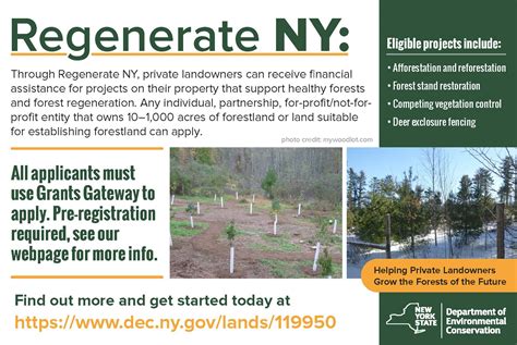 DEC announces Regenerate NY reforestation program grants